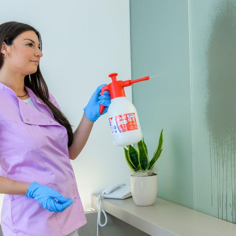 Dimartino  ALTA 2000 EPDM Sivi Pompasi 2Lt.