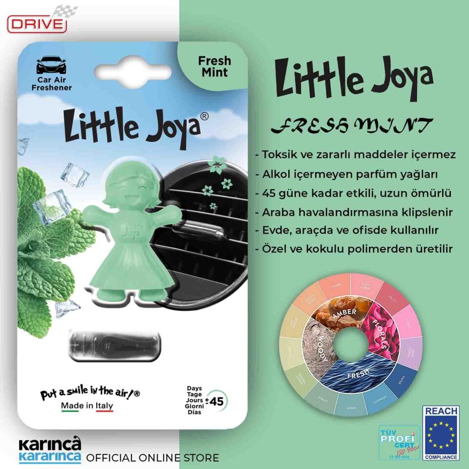 Little Joya Fresh Mint Kalorifere Geçme Oto Kokusu Taze Nane