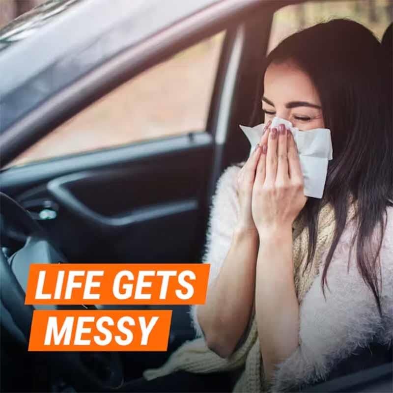 Armor All Aerosol Dezenfektan Sprey